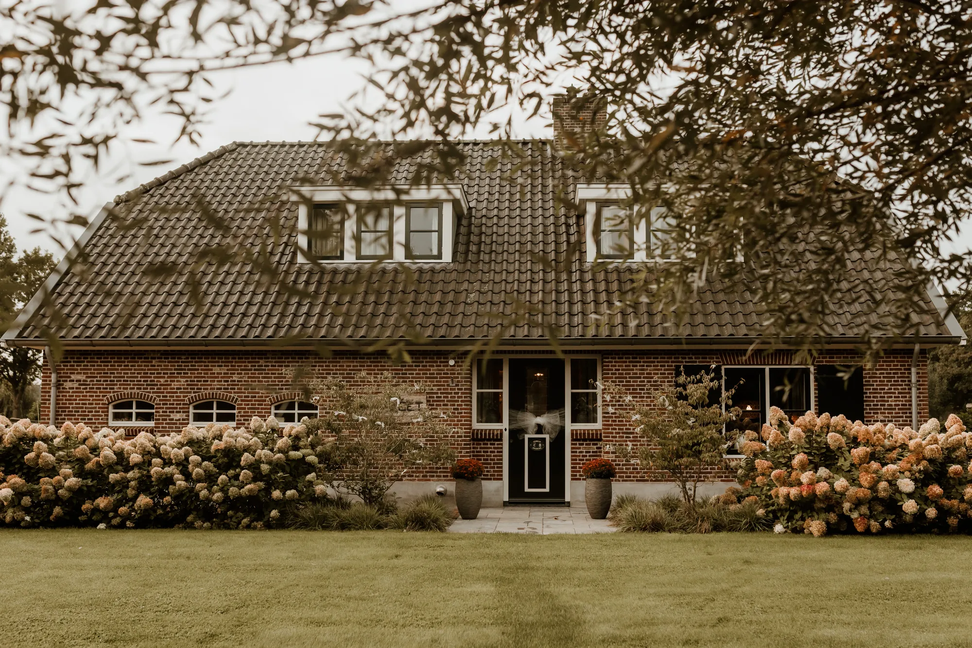 Bruiloft van Ivo en Heidi midden in het bos. — trouwfoto 7
