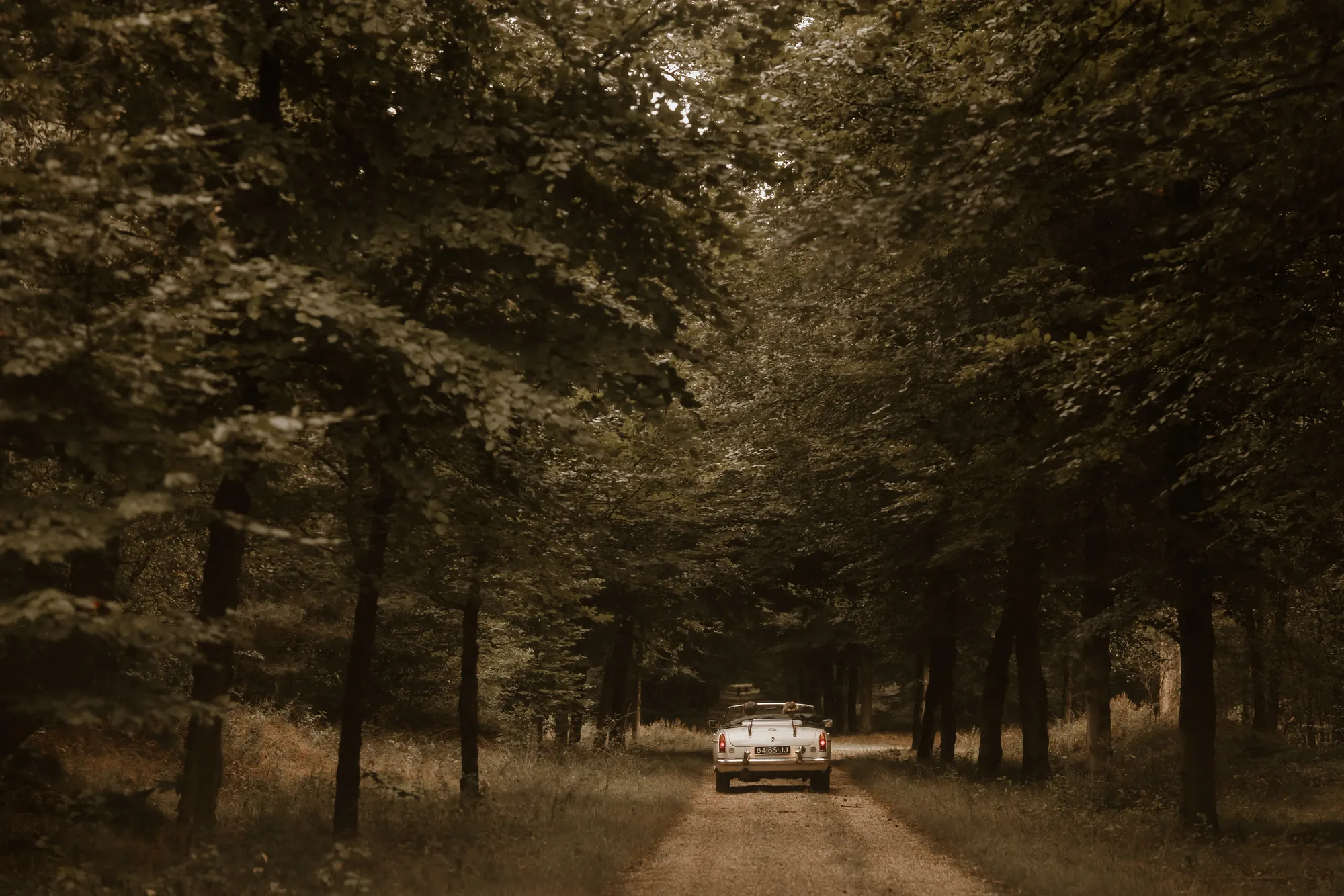 Bruiloft van Ivo en Heidi midden in het bos. — trouwfoto 22