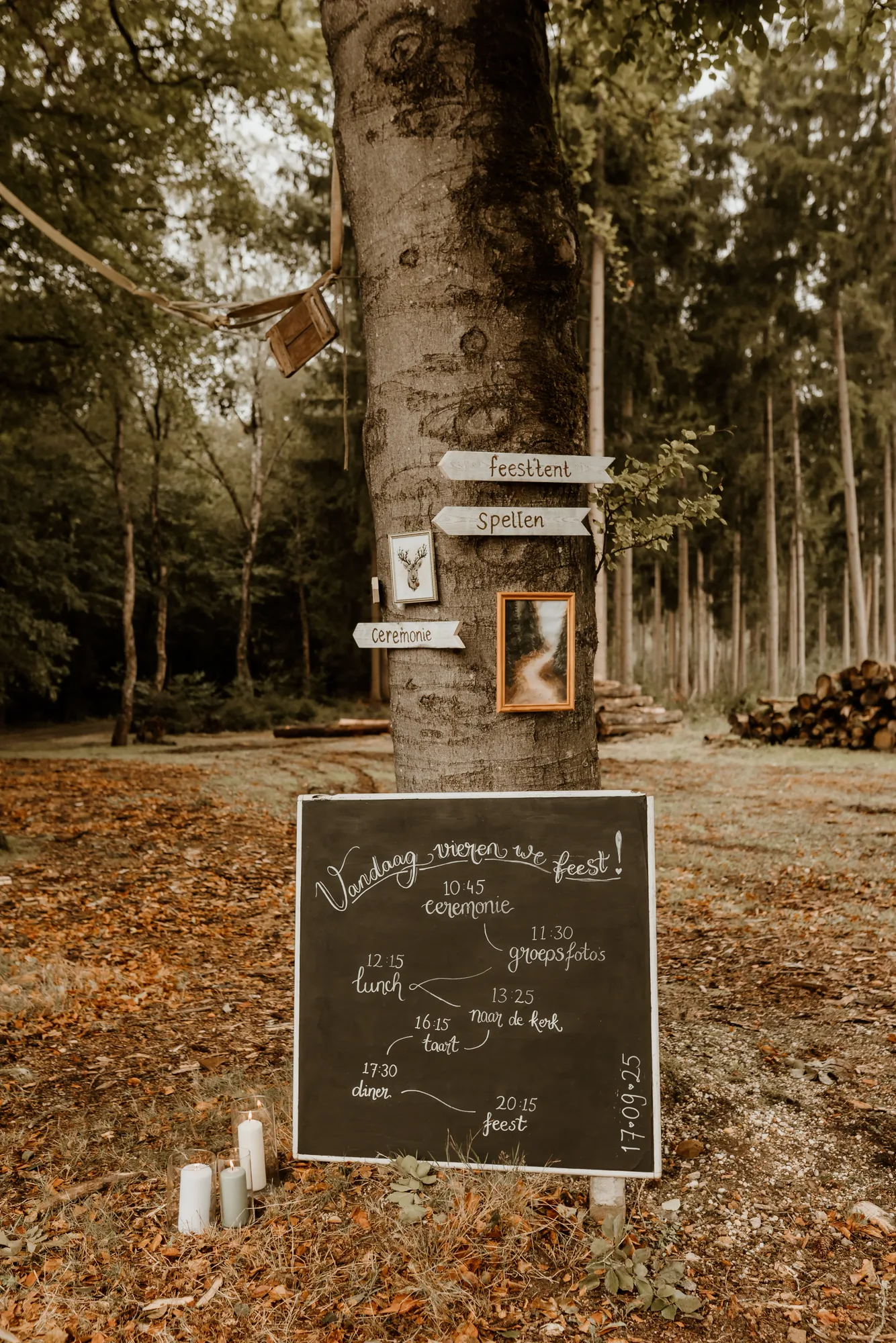 Bruiloft van Ivo en Heidi midden in het bos. — trouwfoto 24