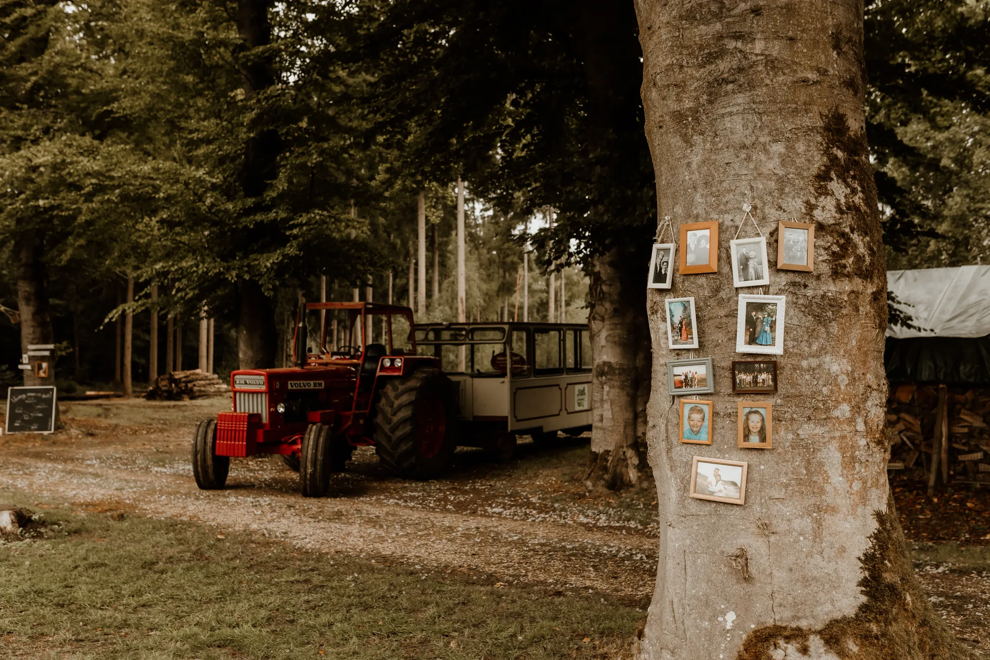 Bruiloft van Ivo en Heidi midden in het bos. — trouwfoto 48