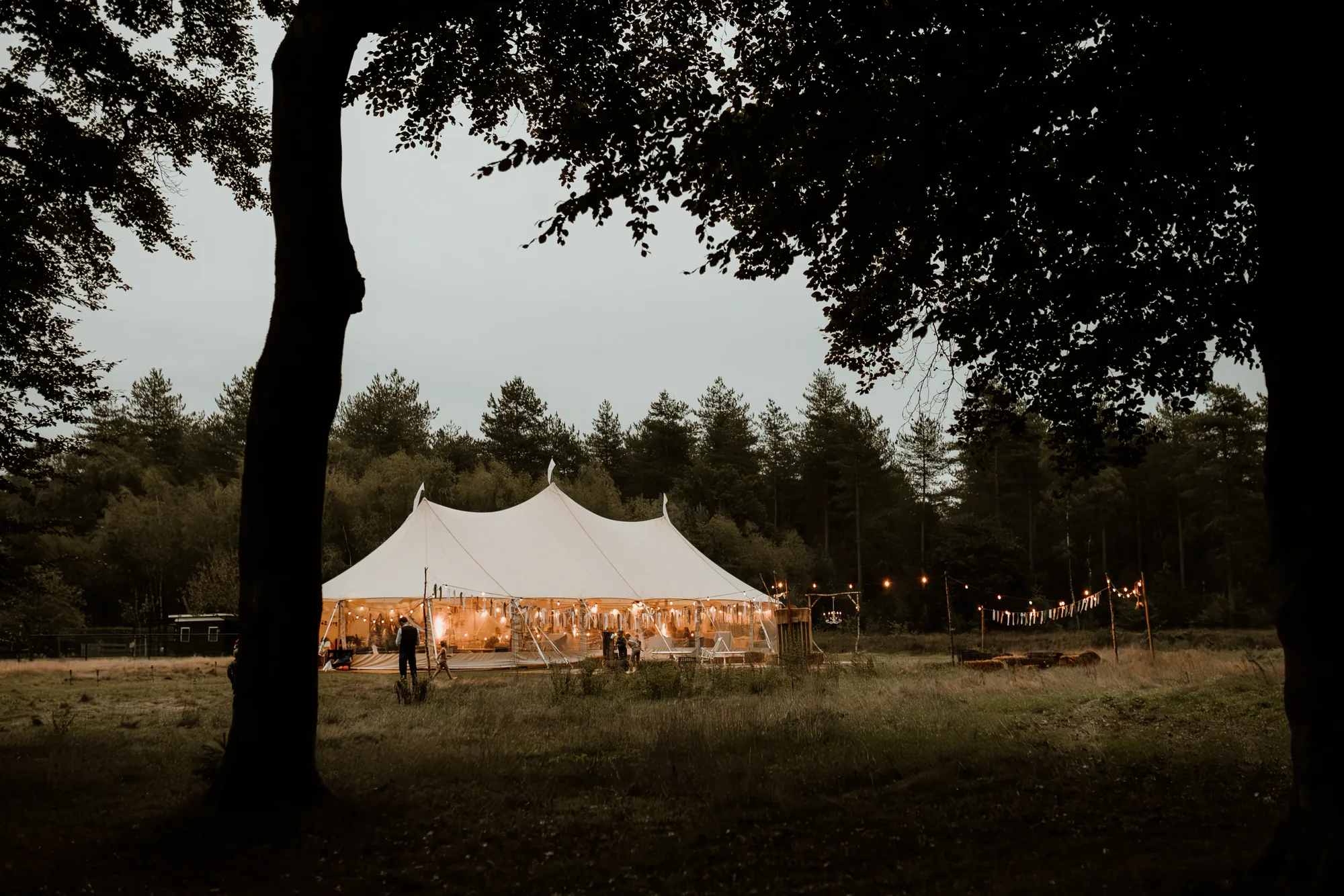 Bruiloft van Ivo en Heidi midden in het bos. — trouwfoto 77