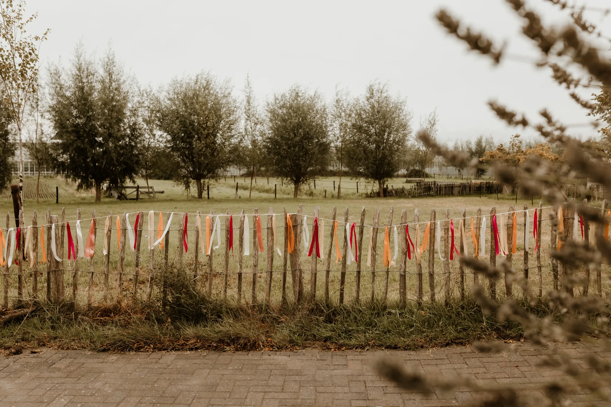 Bruiloft van Jesse en Janneke in Kampen — trouwfoto 7