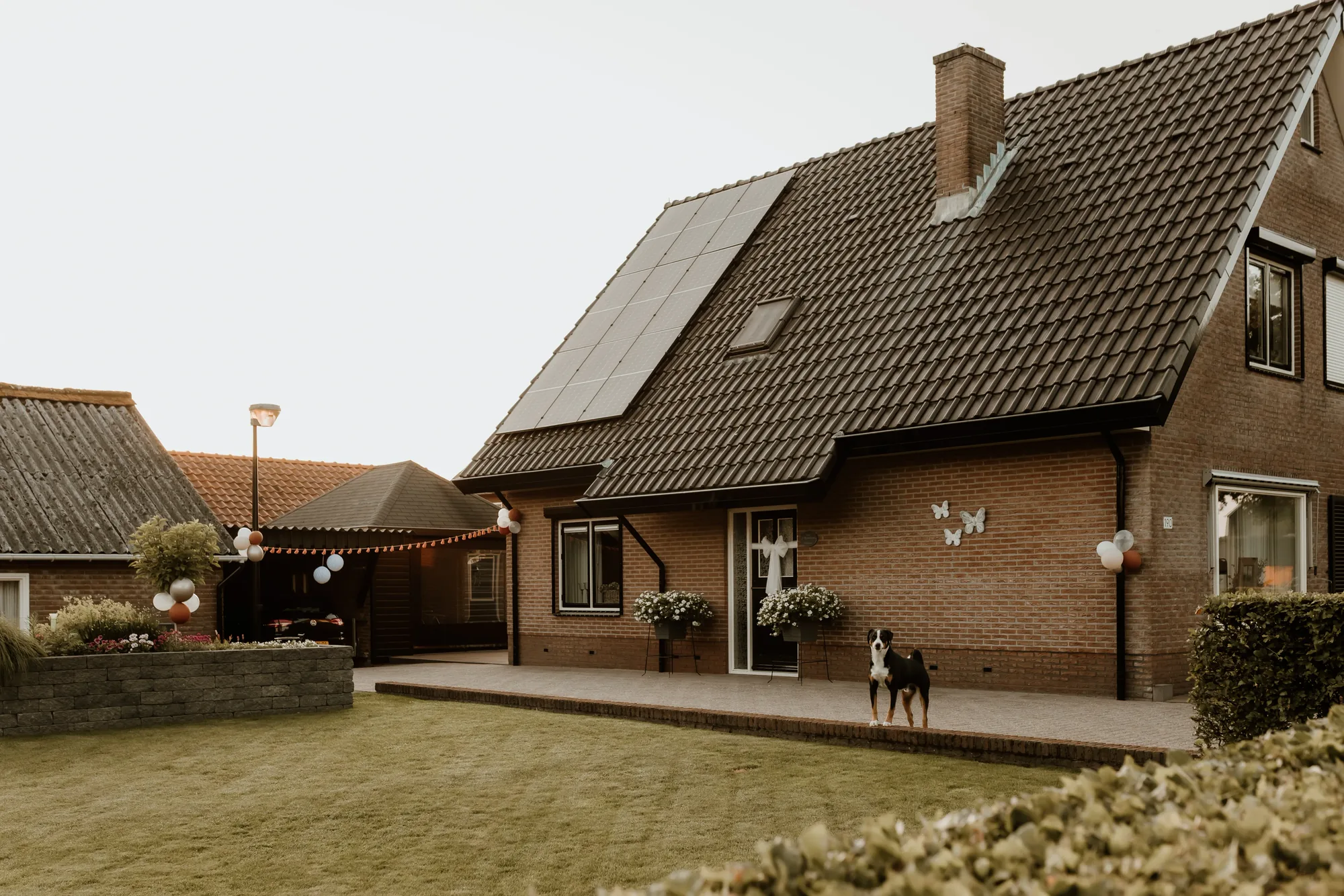 Bruiloft van Willem en Thirza op de Veluwe — trouwfoto 8