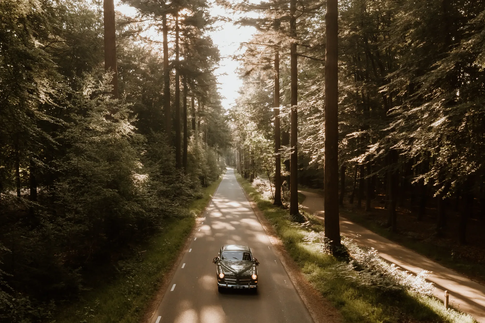 Bruiloft van Willem en Thirza op de Veluwe — trouwfoto 22