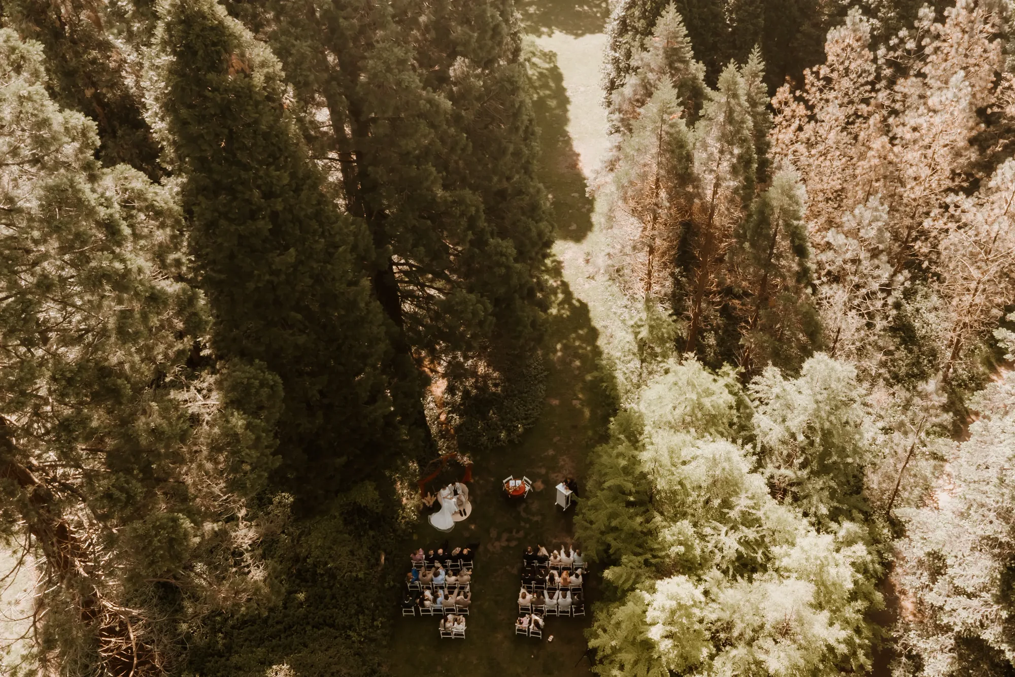 Bruiloft van Willem en Thirza op de Veluwe — trouwfoto 38