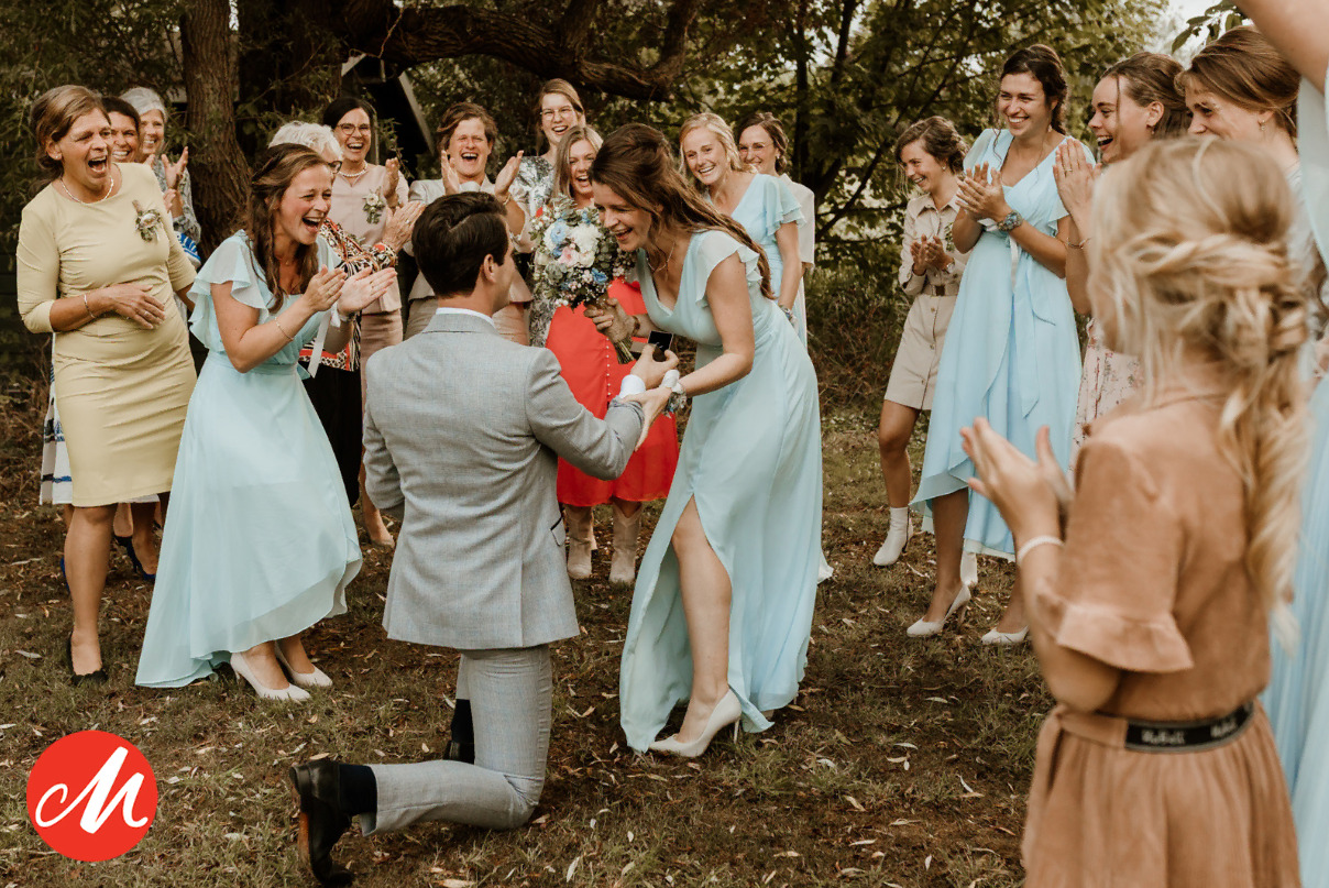 Bekroonde trouwfoto: bruidegom op één knie tussen de bruidsmeisjes — Masters of Wedding Photography Award